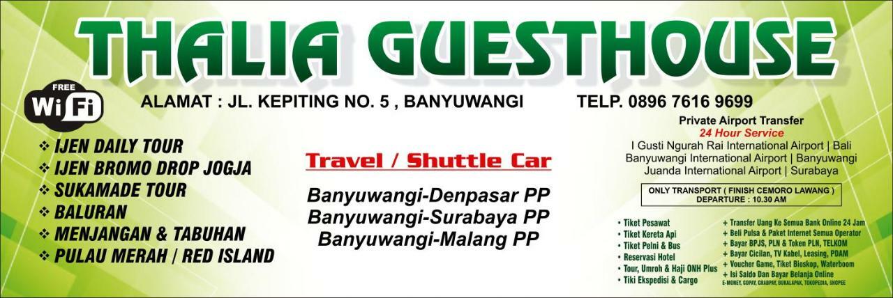 Thalia Guesthouse Ijen - Bromo & Sukamade Tour Banyuwangi  Extérieur photo